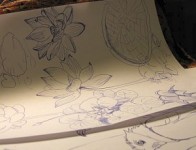 Nature study sketches of lotus flowers and birds for a pattern